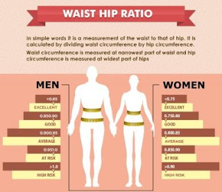 Waist to Hip Ratio Test to Measure Risk of Coronary Artery Disease ...