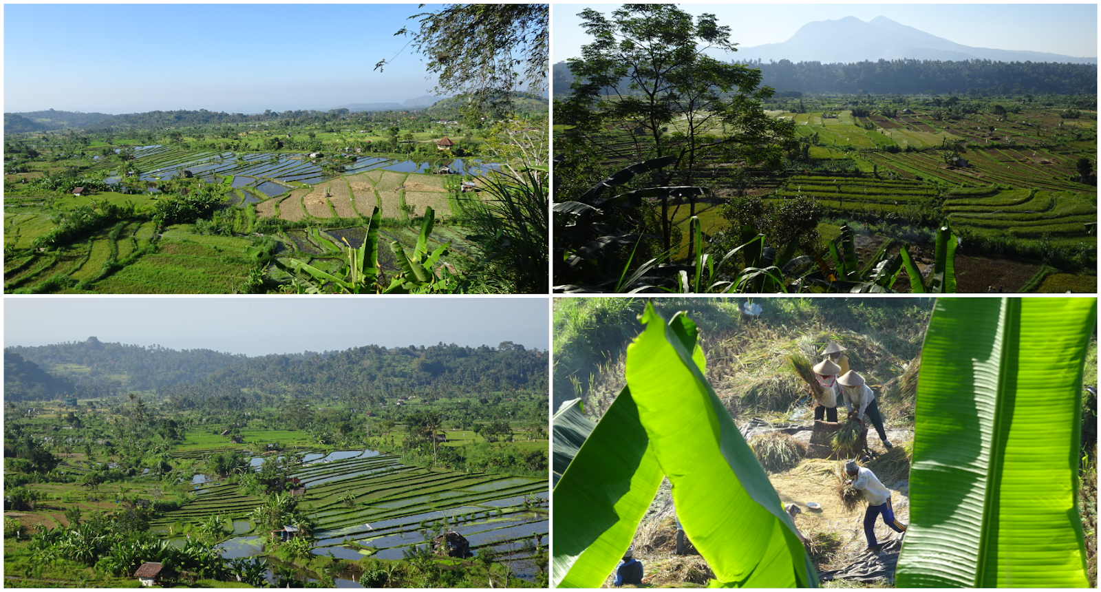 Die 14 Besten Bilder Von Motivation In 2020 Worter Weisheiten