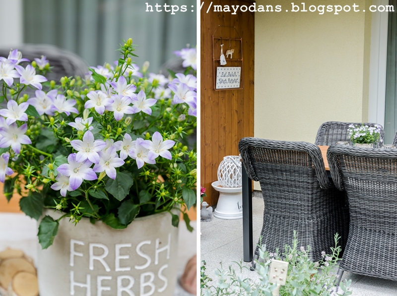 Gluckspilz Wunderschoner Diy Blumenkranz Furs Haar