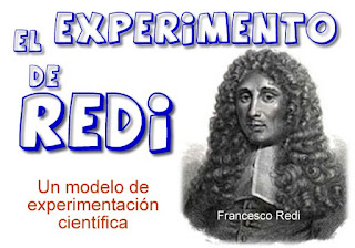EDUpunto,Redi,experimento,ciencia,modelo