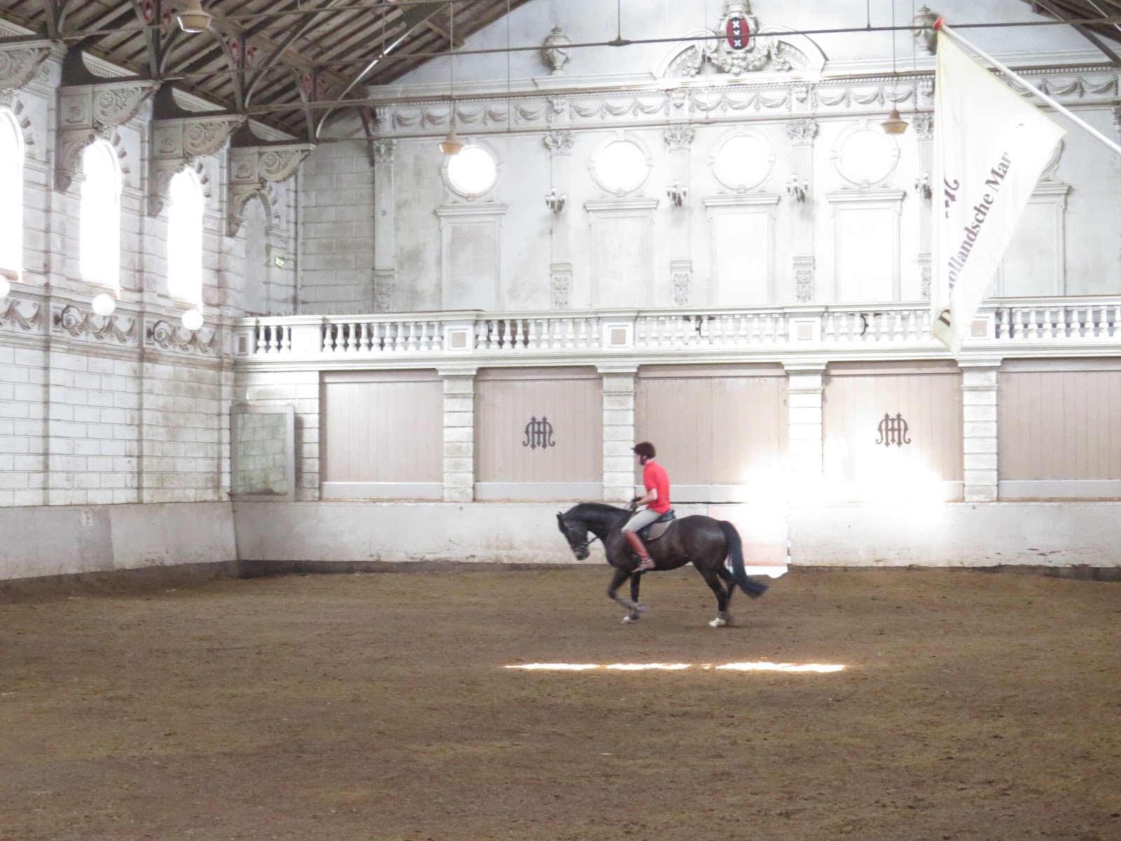 AT THE RAIL WITH NAGS AND WAGS AMSTERDAM'S LIVE HORSE MUSEUM MANEGE