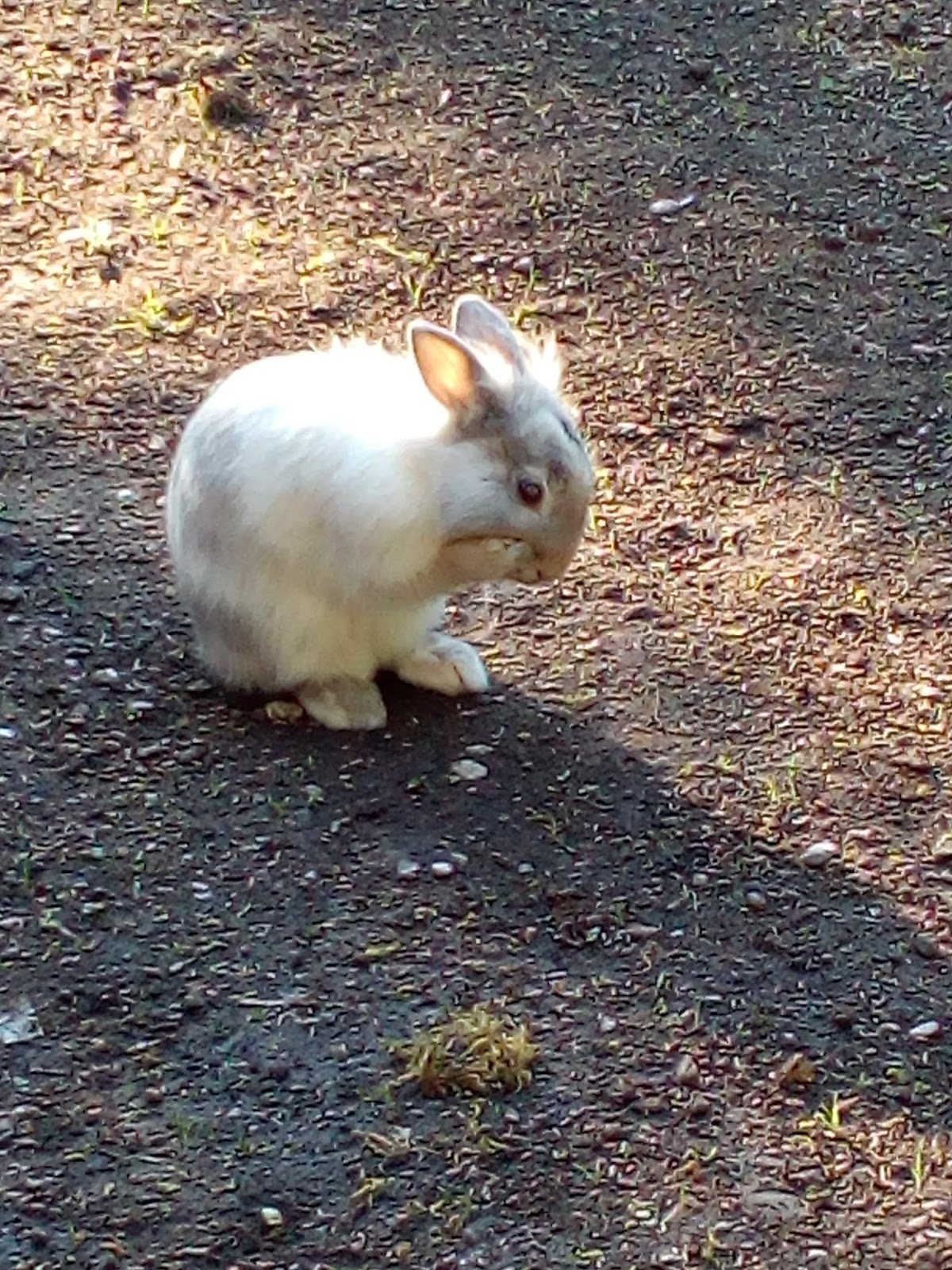 Die Welt Spielt Verruckt Oder Sind Es Nur Die Menschen