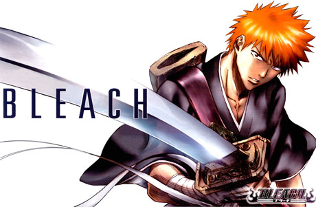 Bleach: nova temporada alcança o 1º lugar em ranking de site especializado  em animes – ANMTV