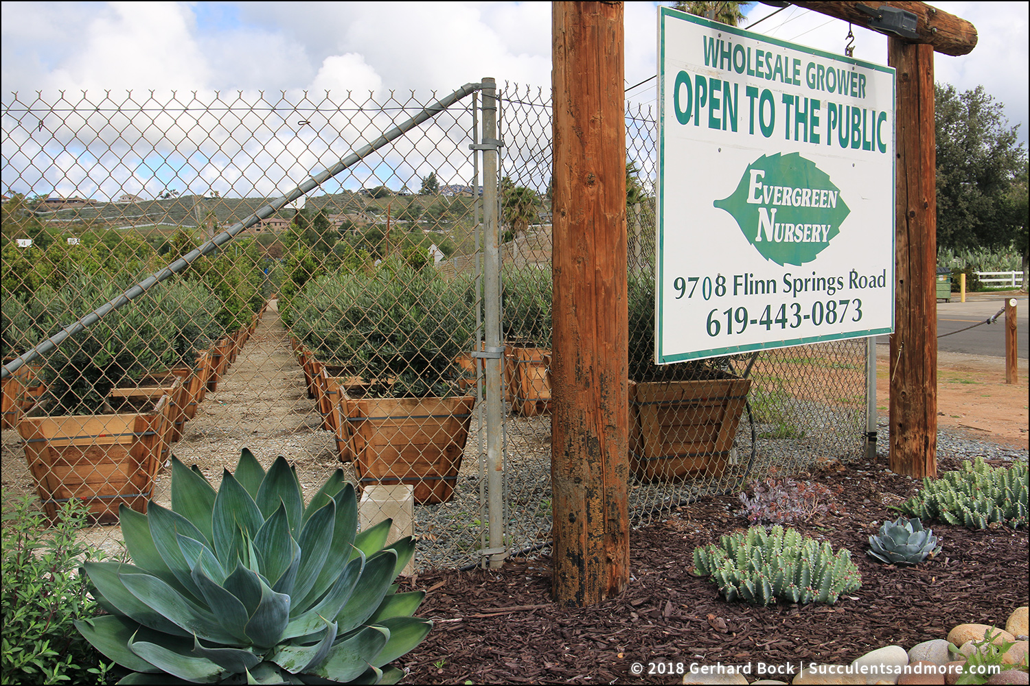 The Green Room My first drivethrough nursery experience Evergreen