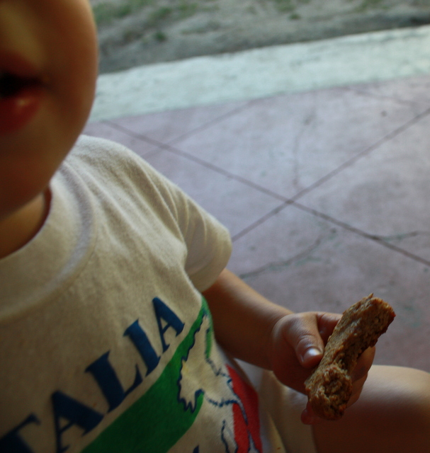 the nurtured brood: Lebanese Easter Cookies