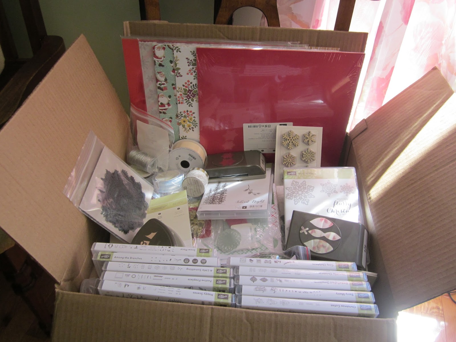Creating With Carol: Fun! Fun! Fun, with my Pre-Order Products!