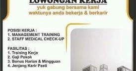 Lowongan Kerja Di Pt Borneo Group Makassar Lowongan Kerja Makassar