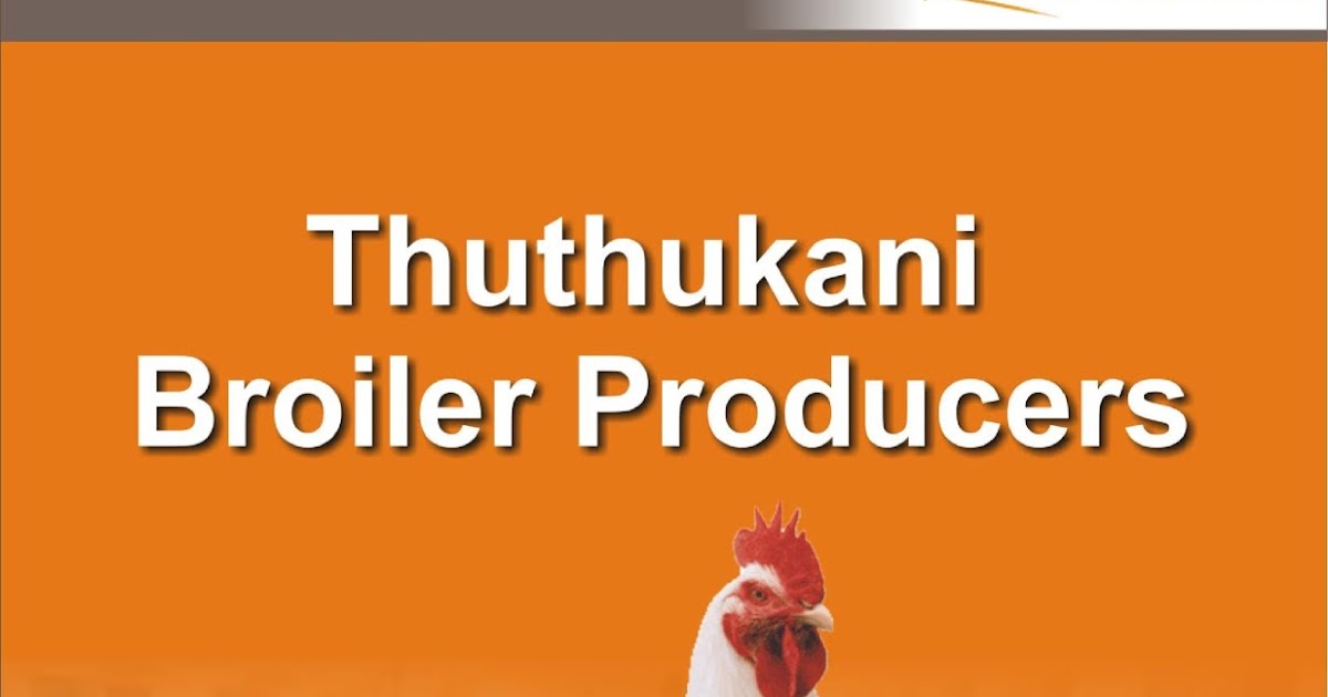 Example of project proposal on broiler production image