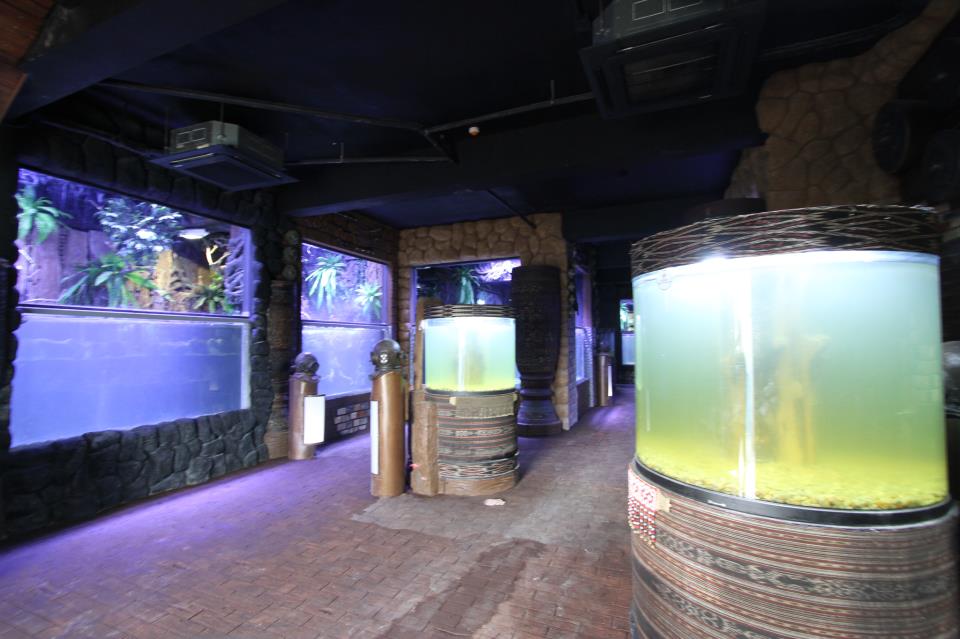 Las Farolas The Fish World A Living Museum of Ornamental Freshwater