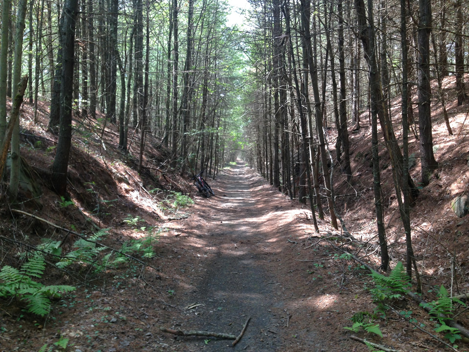 Rich's PedalPoint Trestle Trail Summit, Rhode Island