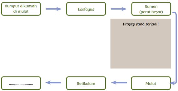 Tema 3 Kelas 5 Sub 1 Pb 1 Revisi 2017 Tabina Kampus Rpp