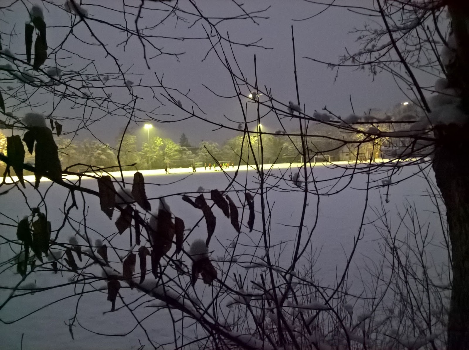 Hauptschulblues Februar 2018