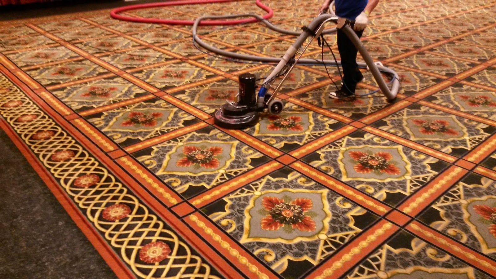Jackson Carpet Cleaning in Jackson NJ