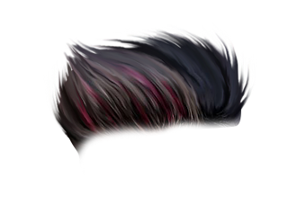 Hair Style Png 