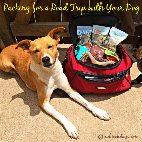 Rubicon Days Packing for A Summer Road Trip with My Dog