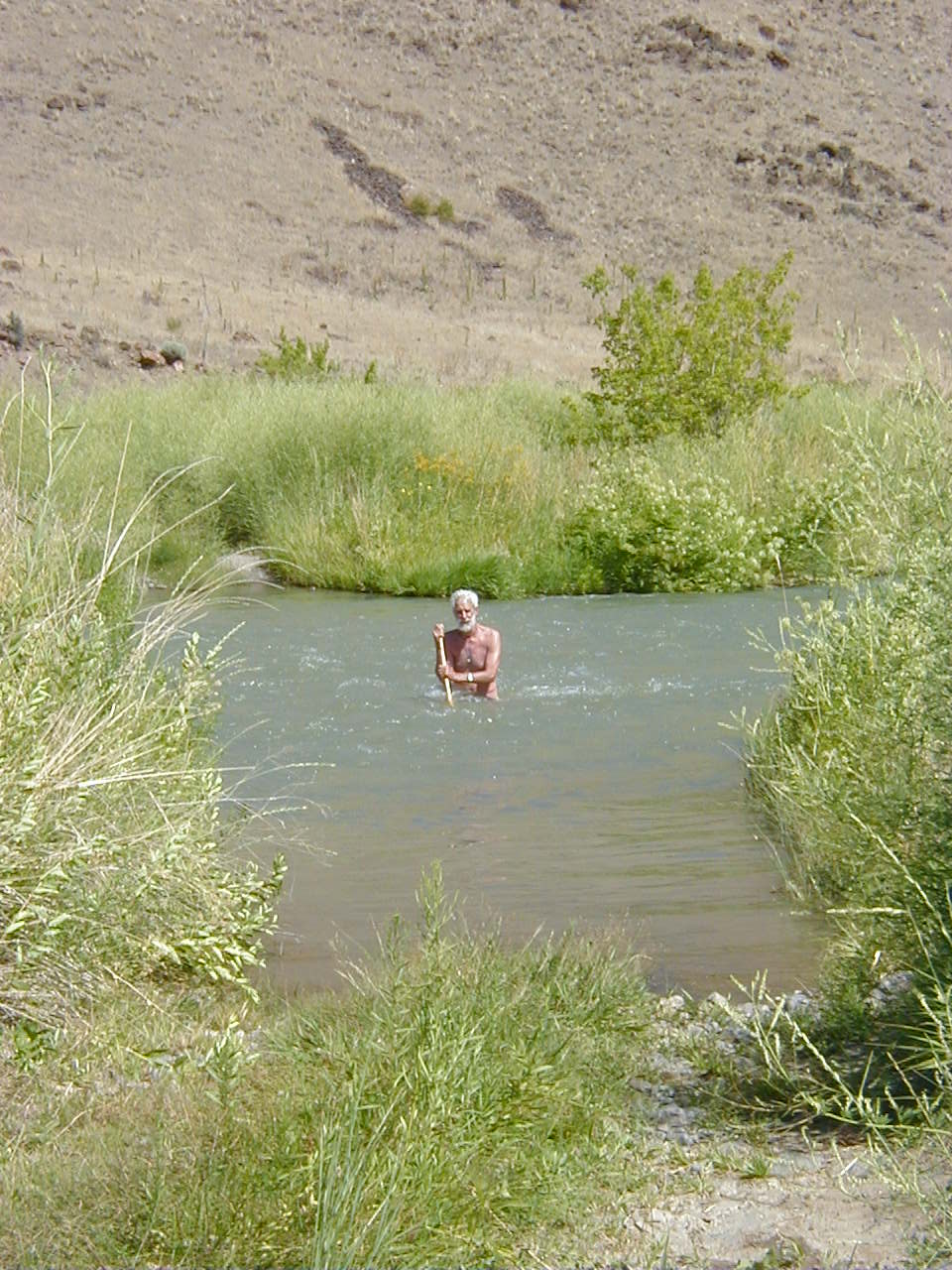 Along Palomino Lane Juntura Hot Springs