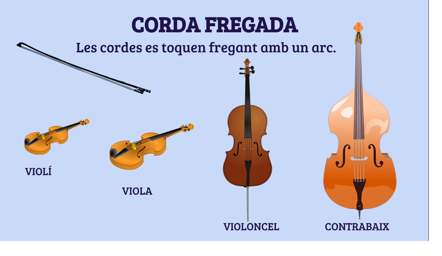 PLE Música Mestre FAMÍLIA DE CORDA