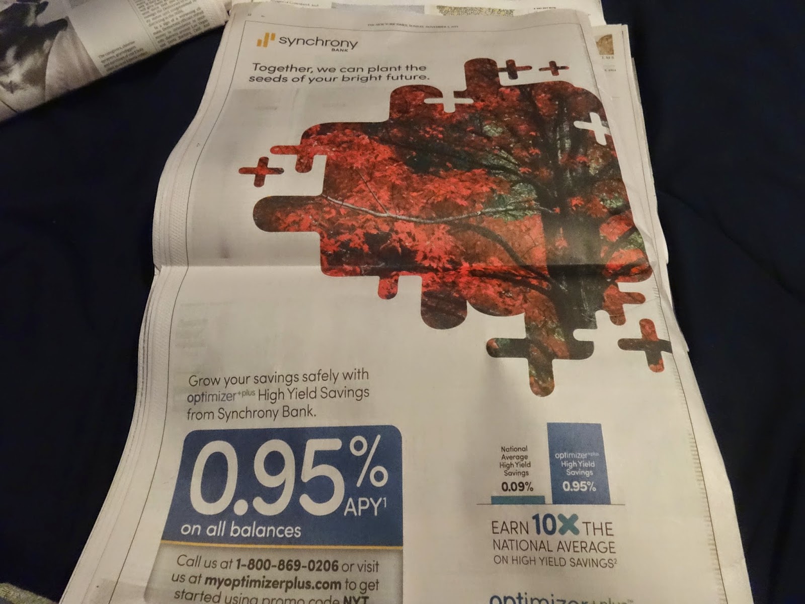 a fugitive from polite society swill bucket