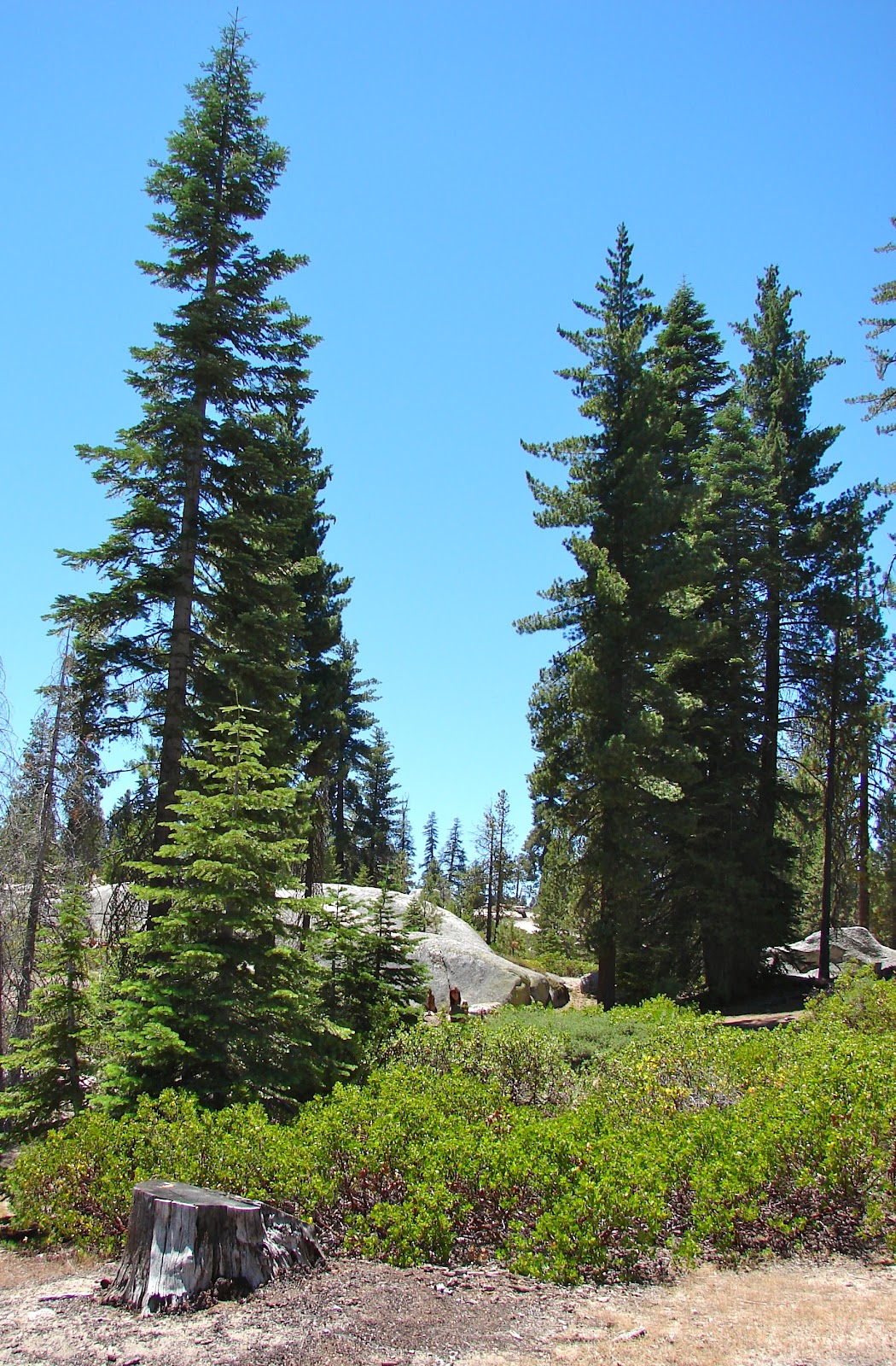 Our Four Wheel Camper Courtright Reservoir, Sierra National Forest