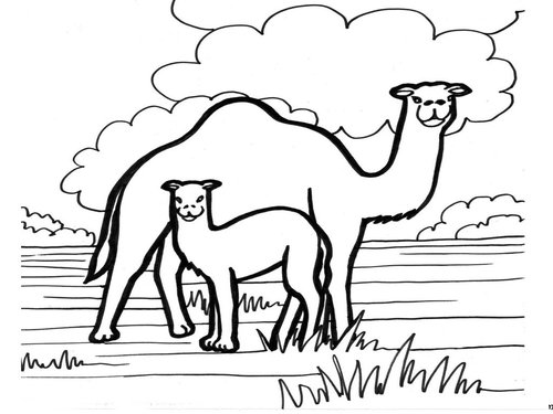Camels Coloring Pages For Kids >> Disney Coloring Pages