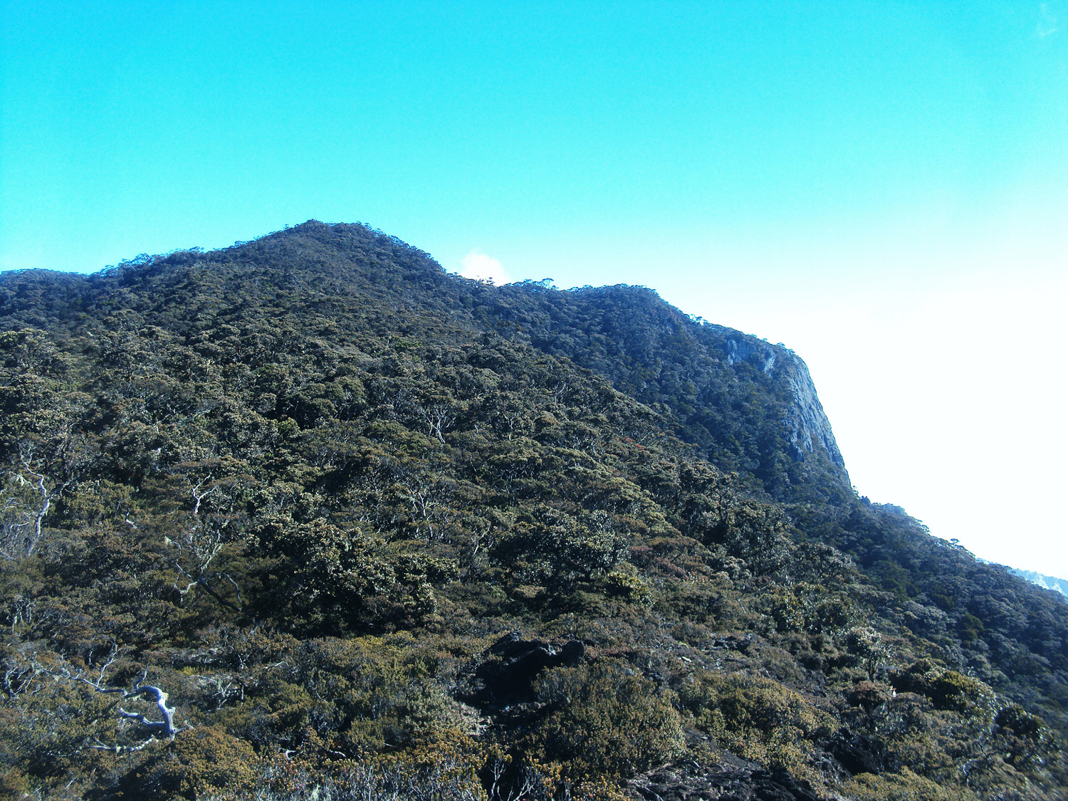 Gunung Rantekombola Sulawesi Selatan