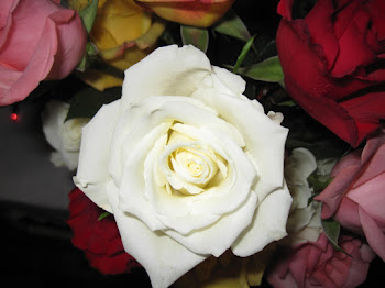 "Layers of love are as many as petals of a rose." -Jane Marie
