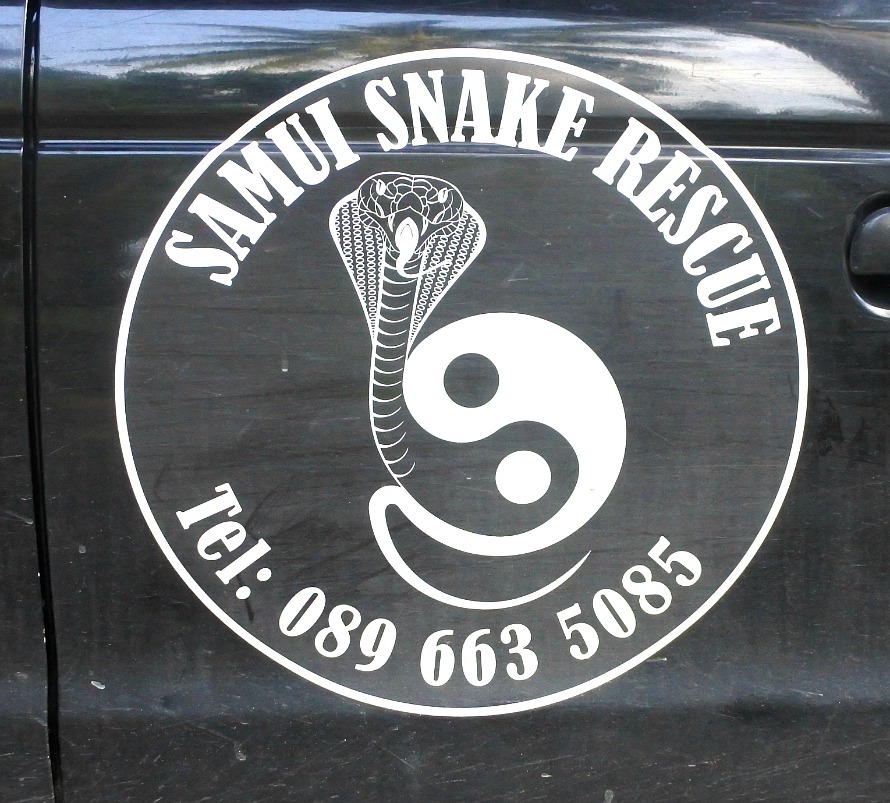 Samui snake and wildlife rescue