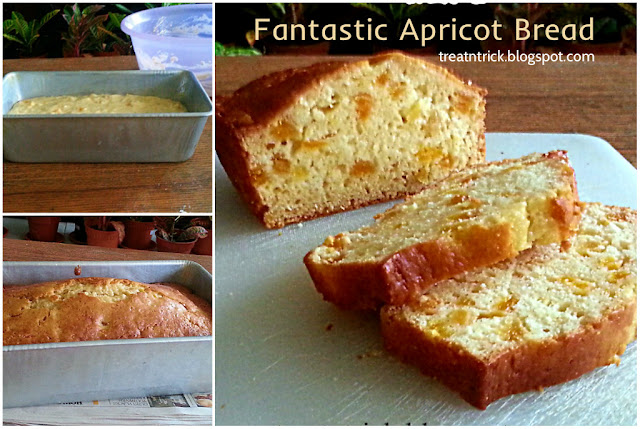 Fantastic Apricot Bread Recipe @ treatntrick.blogspot.com