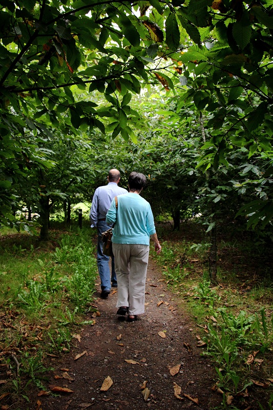 Riverford Field Kitchen Sunday Lunch