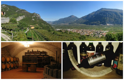 cantina maso ai dossi trentino