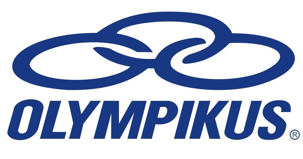 sapato social masculino di pollini