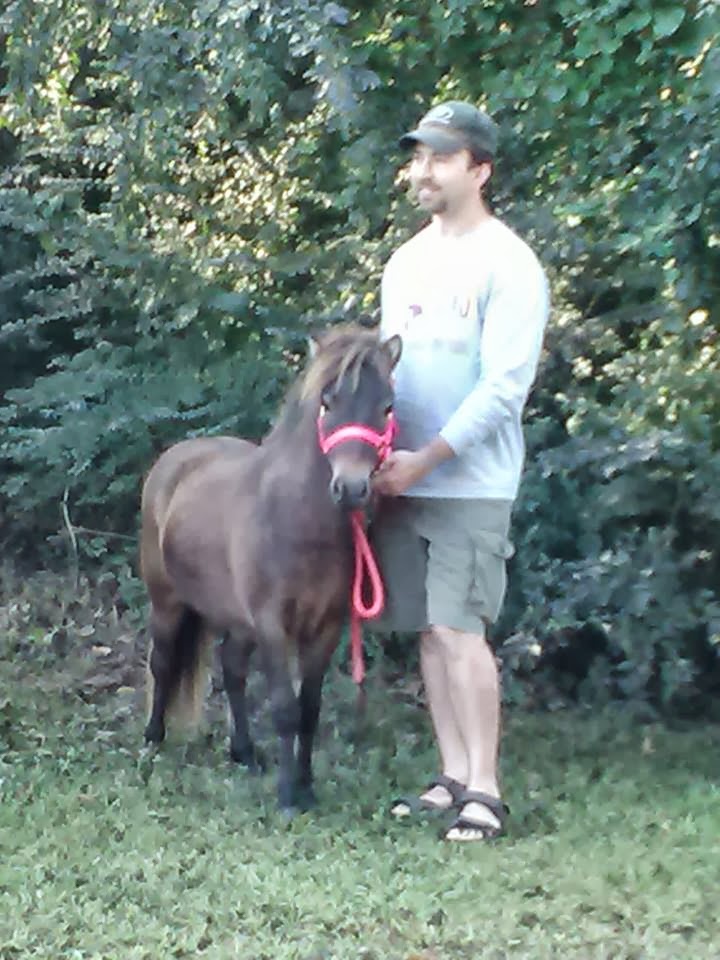 ELKMONT ALABAMA ELKMONT LIONS CLUB RAILS TO TRAILS 10K