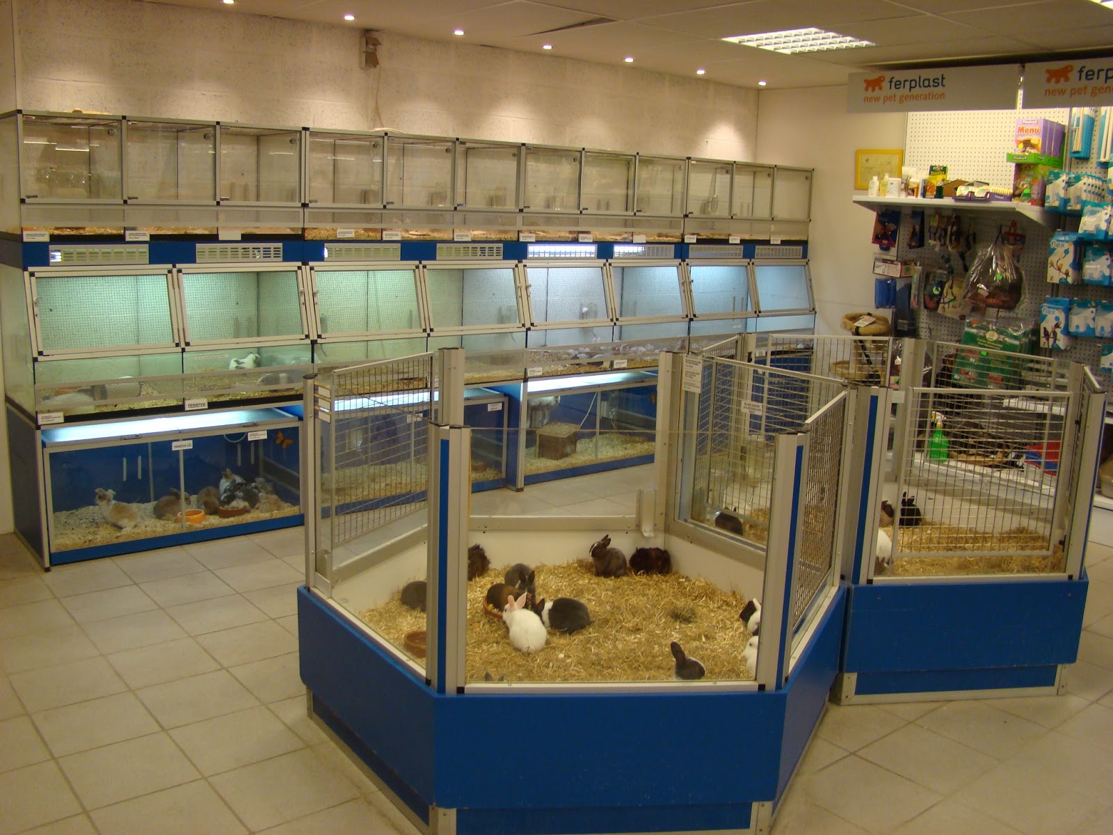 Les Nouveaux Animaux de Compagnies L