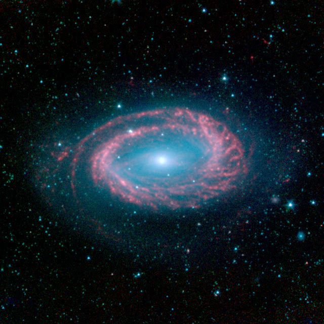 Spiral Galaxy NGC 4725