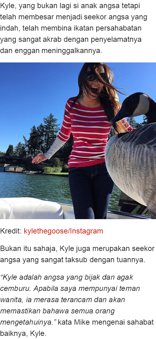 человек интересующийся политикой. для мудрого достаточно. люди достаточно умные чтобы не лезть в политику. довольно умный. довольно умный.