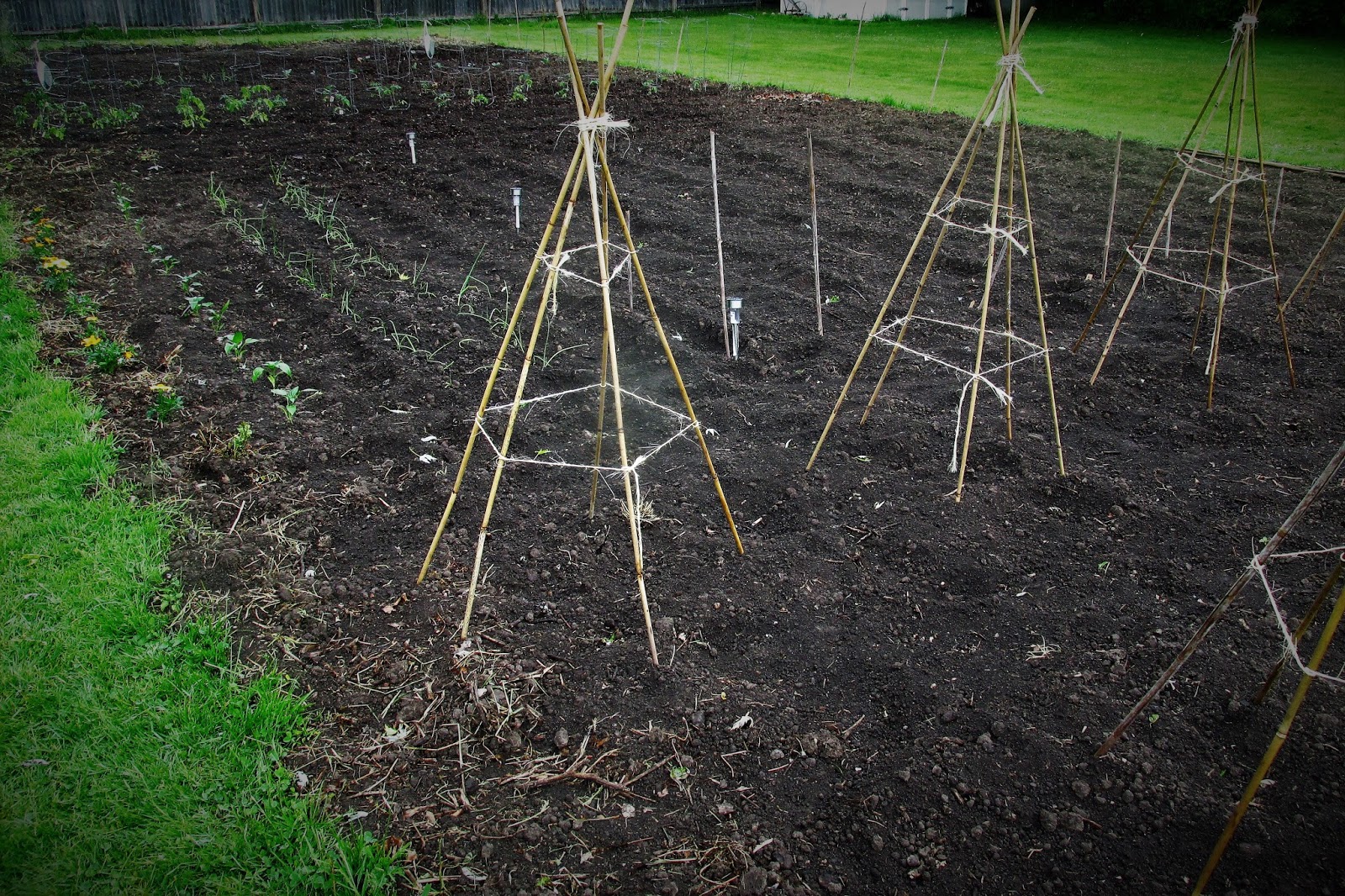 Vickie's Kitchen and Garden Is Gardening Worth It? Total Amount Spent