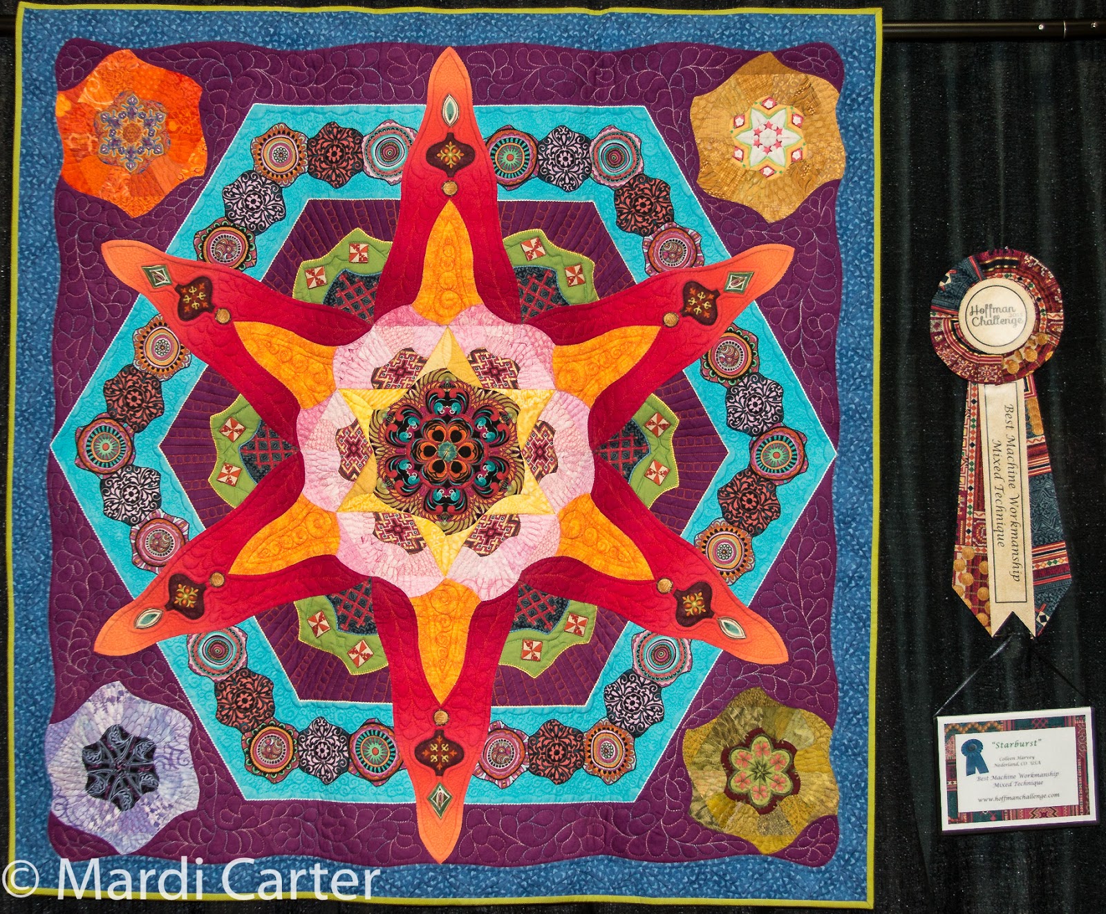 Quilting Solutions Visiting the Hoffman Challenge