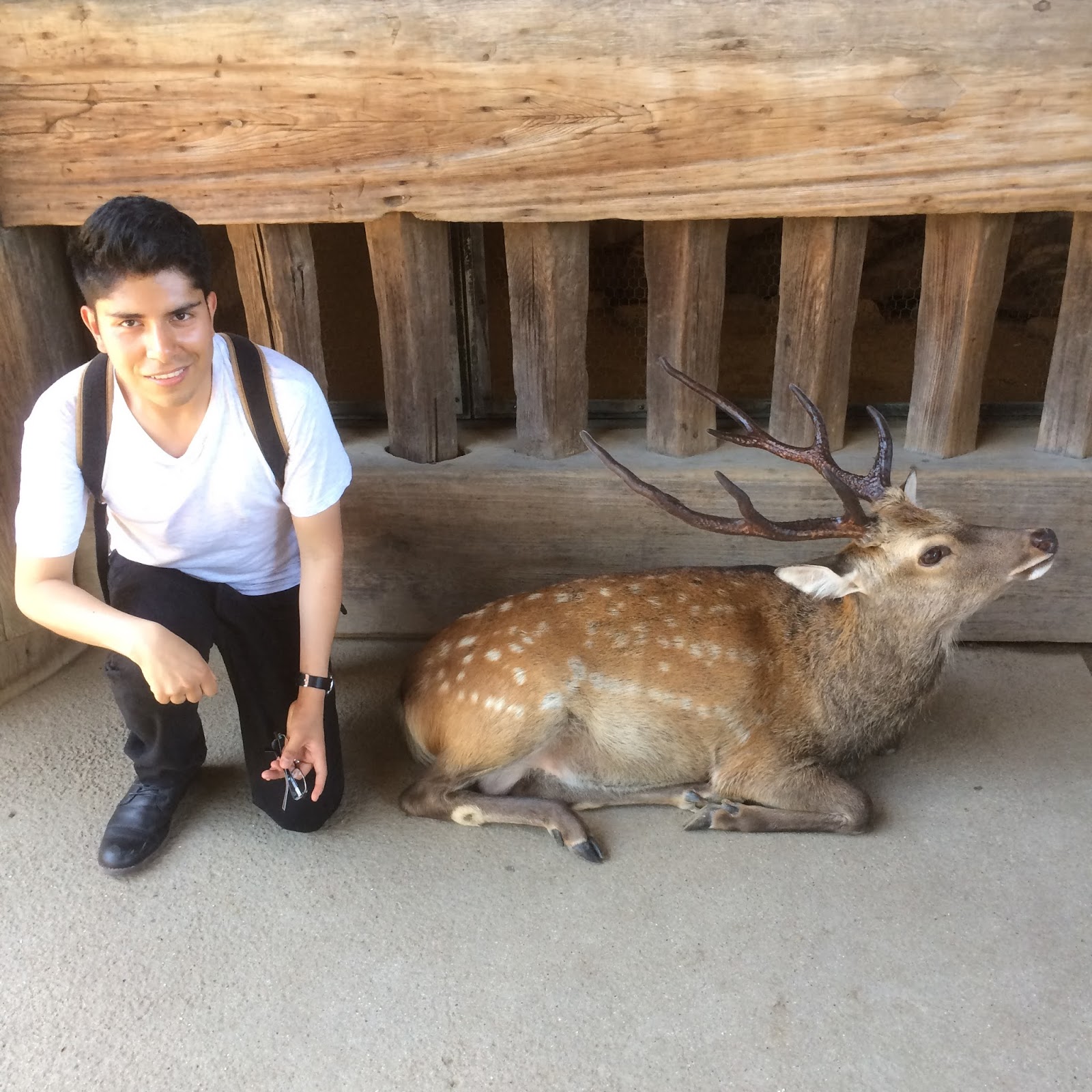 コロンビア人のイケメンとそのまま結婚 しちゃったお話