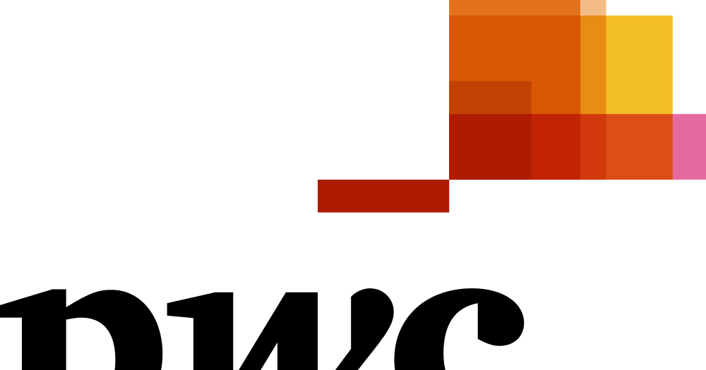 Executive Coaching And Advisory Henrico Dolfing