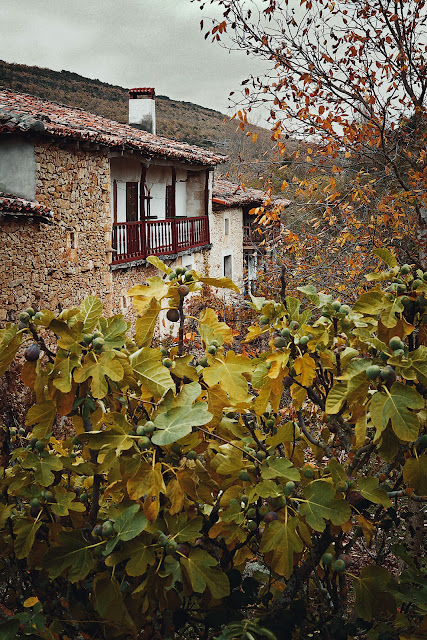 Living in the past at an old Spanish farmhouse