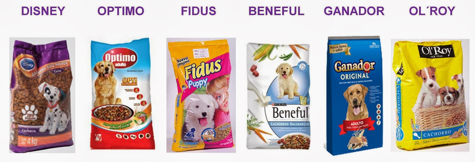 VETZOO clinica veterinaria Hay de croquetas a croquetas