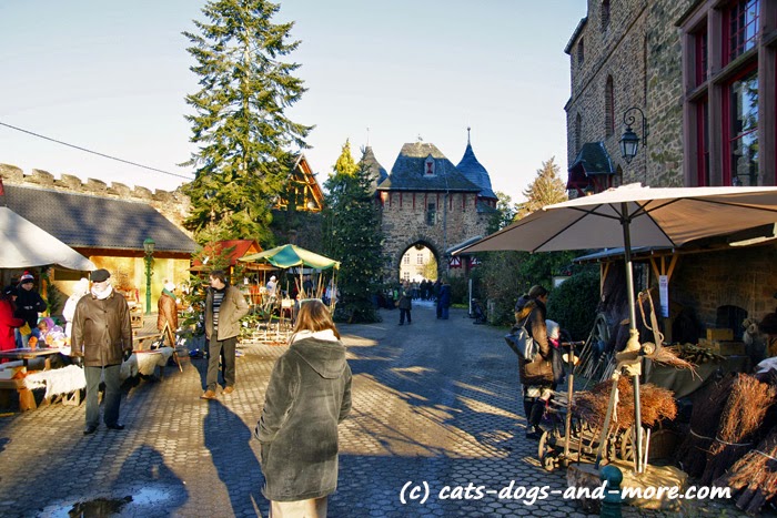 Ausflug Ritterspiele Burg Satzvey