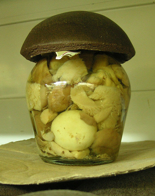 Taxonomic Collections Preserving your fungi