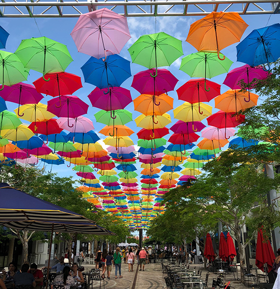 Coconut Grove Grapevine Giralda Plaza shows off colorful Umbrella Sky