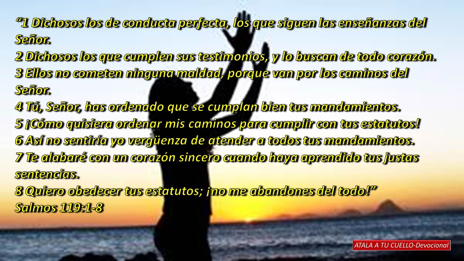 ATALA A TU CUELLO Devocional Salmos 119 1 8 atala-a-tu-cuello-devocional-salmos-119-1-8