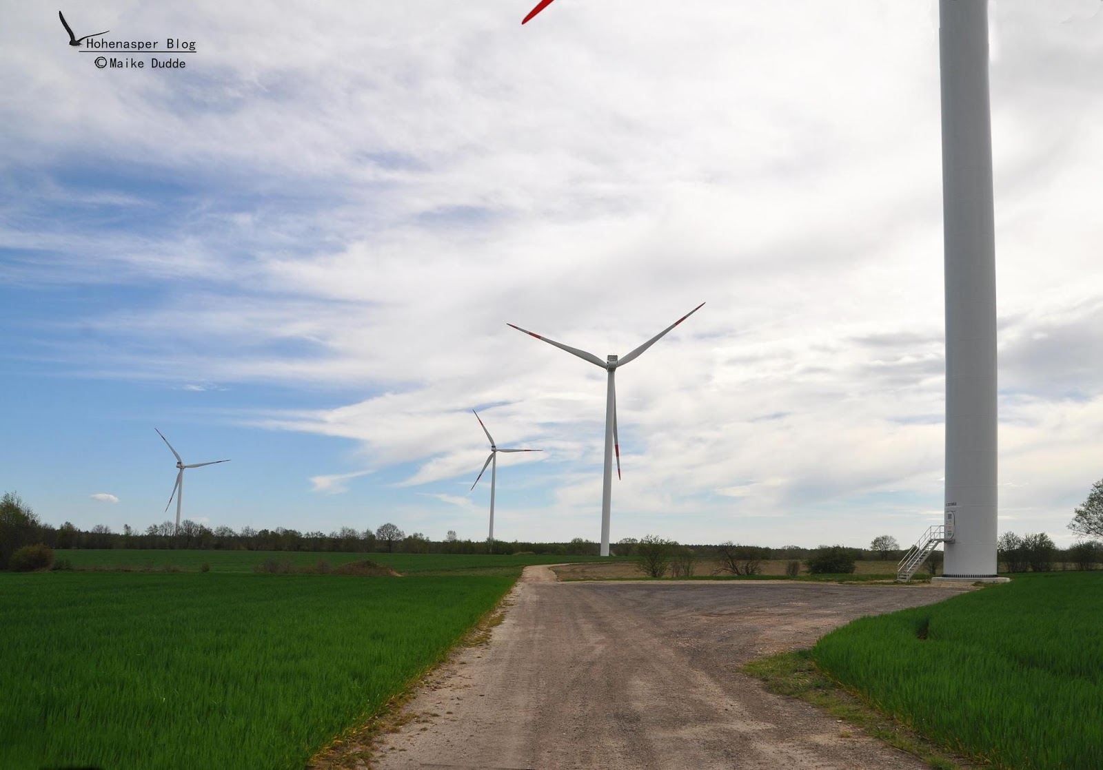 Dankeschon An Alle Fur Die Aktion Zum Welttag Des Buches Tii