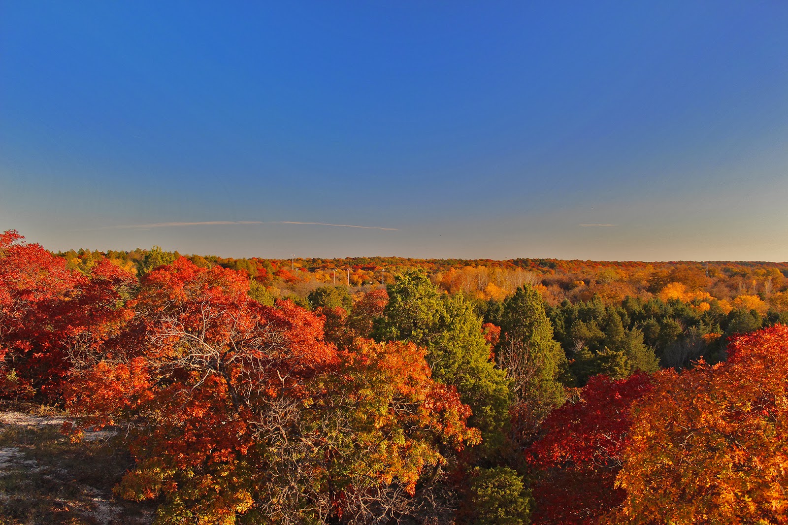 Dallas Trinity Trails Texas Fall Color On Dallas Lower White Rock