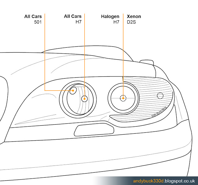 8 Best BMW E46 Headlight Bulbs [Xenon + Halogen]