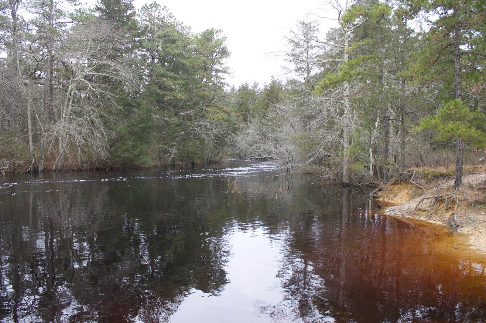 Its All About Life NJ Pine Barrens