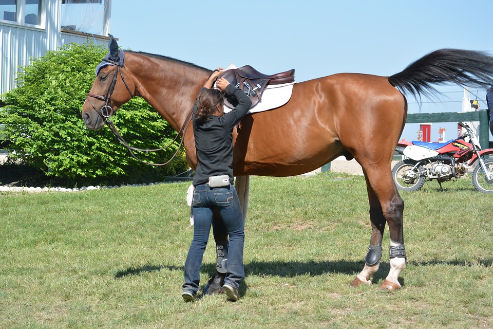 Train your Horse to Stand Still While Mounting | Horse Training Tips | Savvy Horsewoman